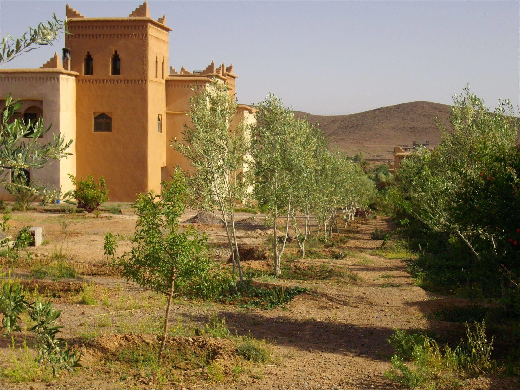 Kasbah Zitoune Tajda Bagian luar foto
