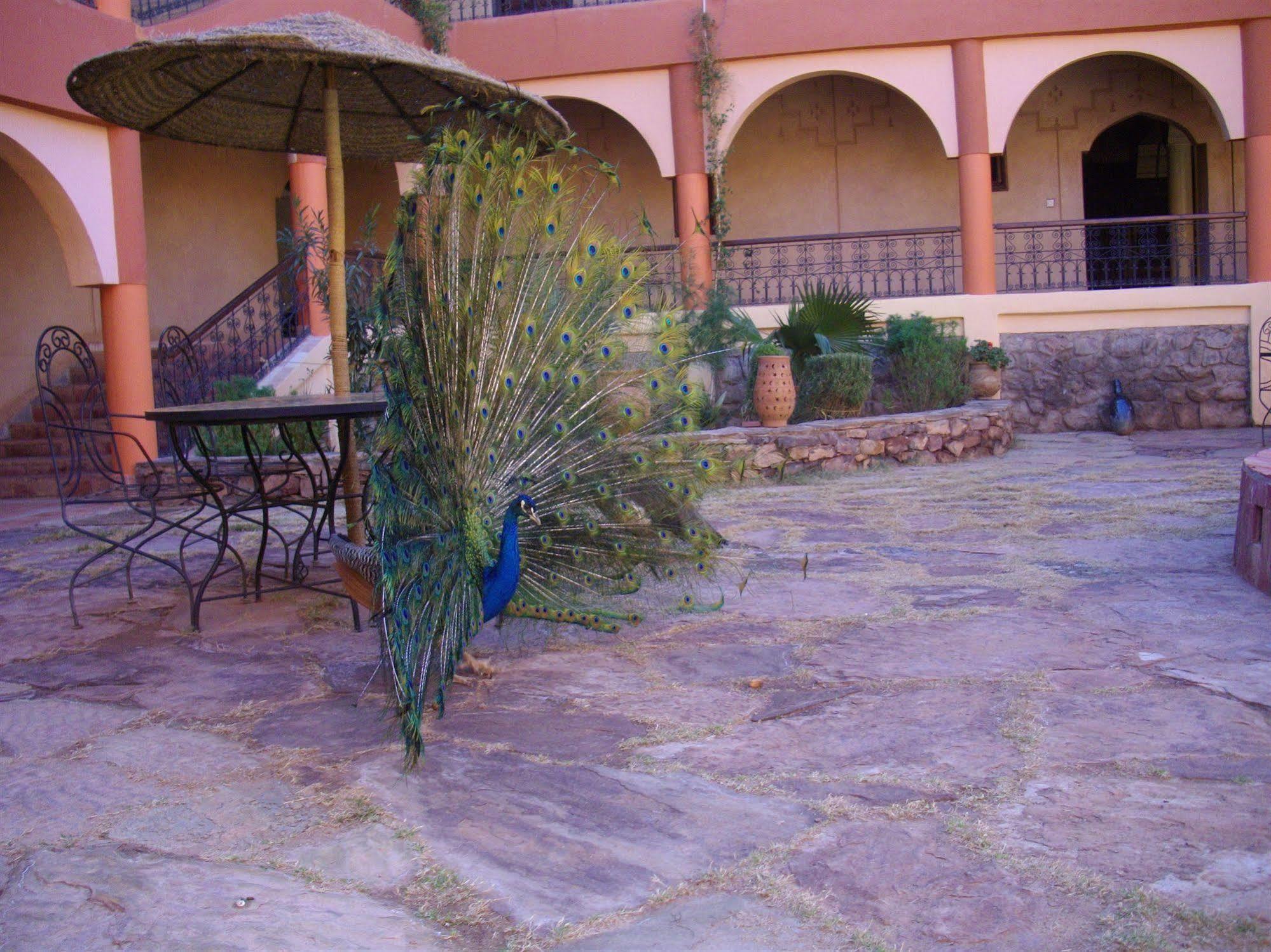 Kasbah Zitoune Tajda Bagian luar foto